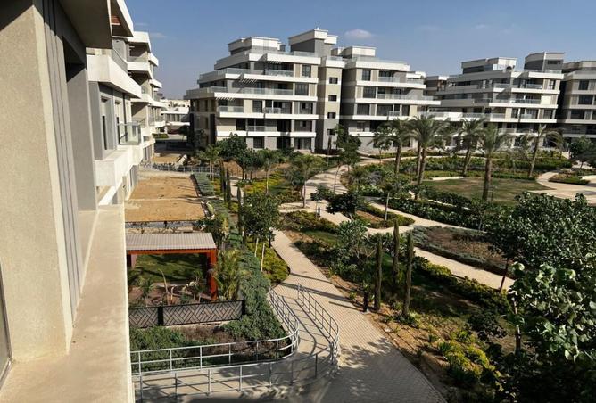 8273981 - صورة العقار 3