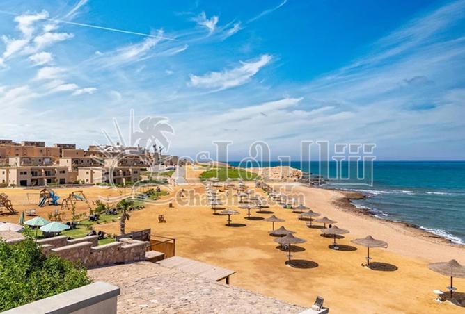 8296195 - Property Image 3