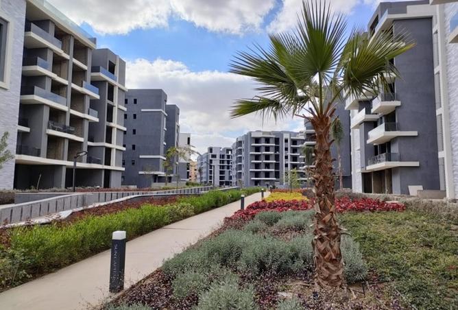 8251428 - Property Image 3