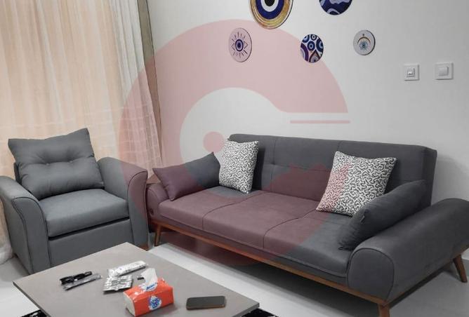 8145186 - Property Image 3
