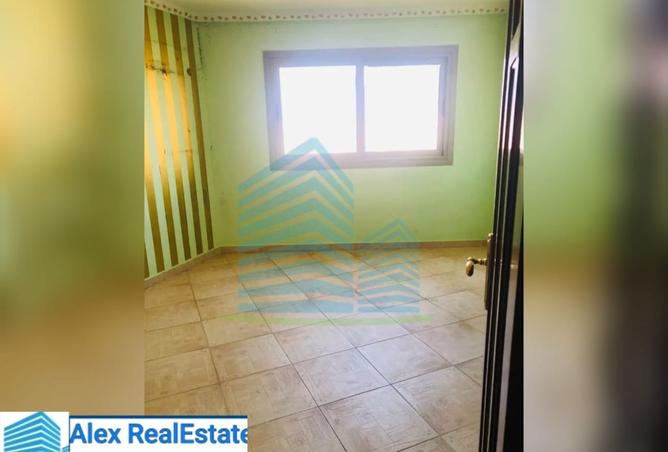 8147799 - Property Image 3