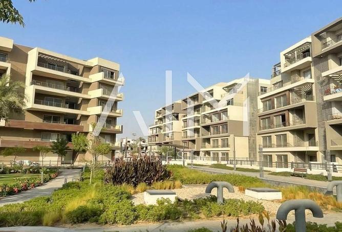 8173670 - Property Image 3