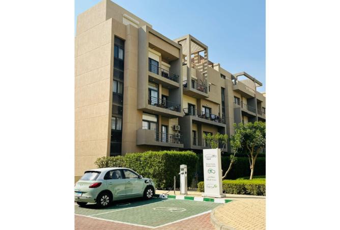 8395801 - صورة العقار 3