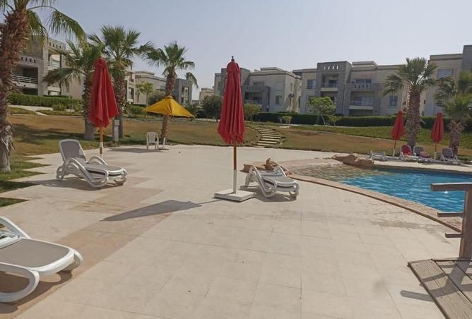7910241 - صورة العقار 3