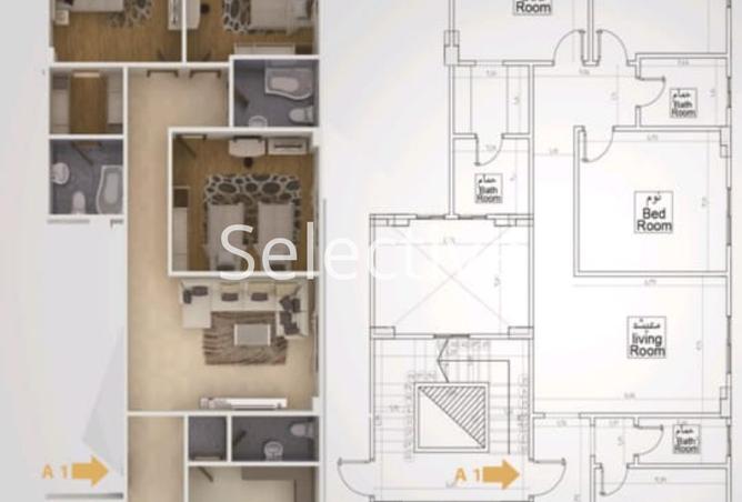 8066082 - Property Image 3