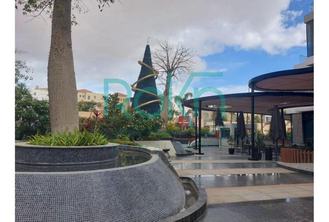 8394955 - Property Image 3