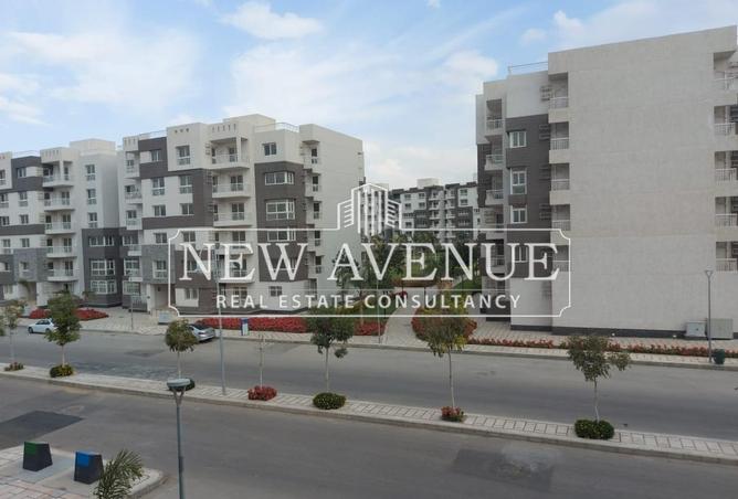 8417637 - Property Image 2