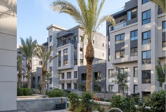 8407520 - Property Image 3