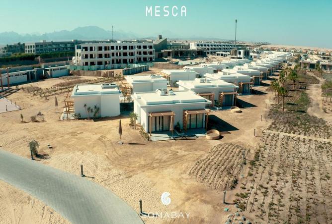 8001311 - صورة العقار 3