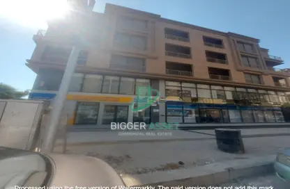 Whole Building - Studio - 3 Bathrooms for rent in Sarayat Al Maadi - Hay El Maadi - Cairo