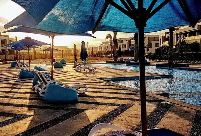 7951005 - صورة العقار 3