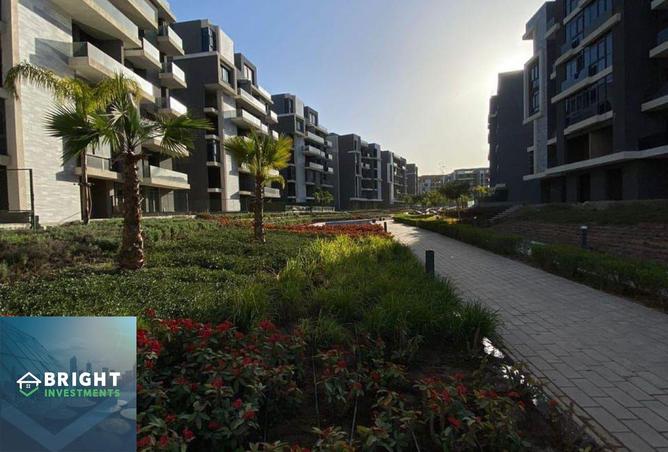 8238866 - صورة العقار 3