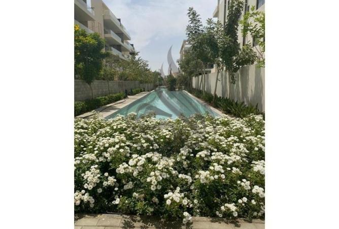 8281735 - Property Image 3