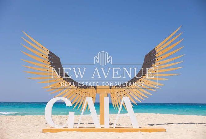 8356509 - Property Image 3