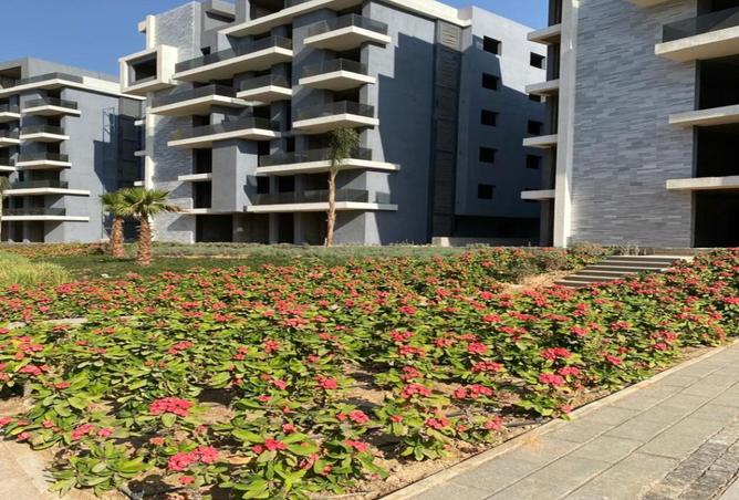 8269279 - Property Image 2