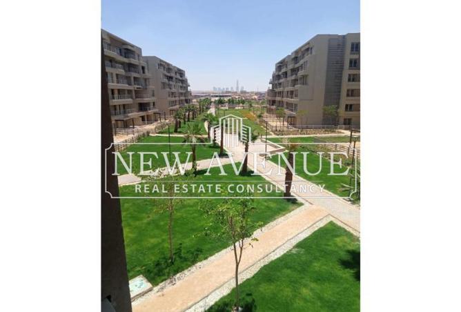 8094860 - Property Image 3