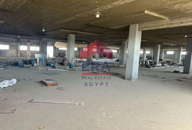 7740009 - صورة العقار 2