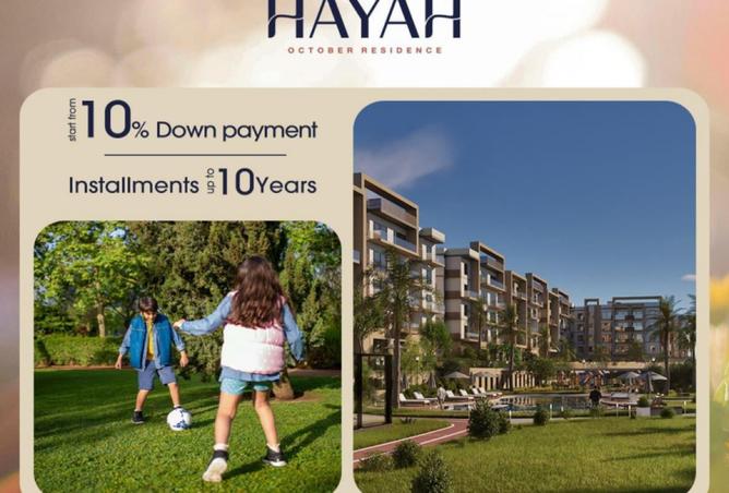 8066833 - Property Image 2