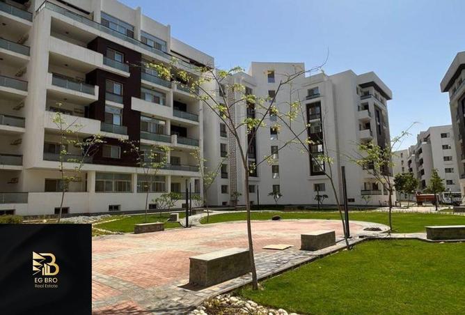 8345859 - Property Image 3