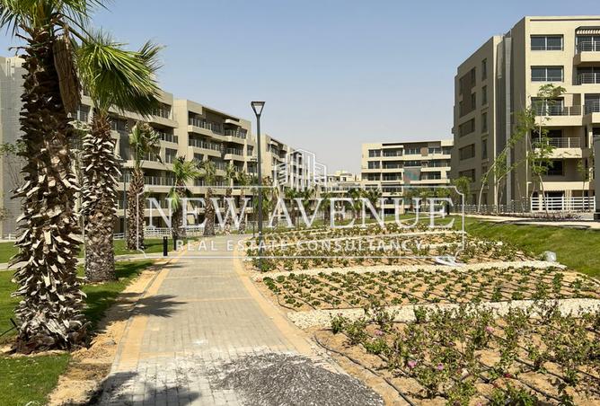 7961517 - صورة العقار 2