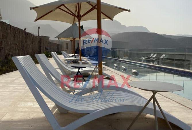 8246624 - Property Image 3