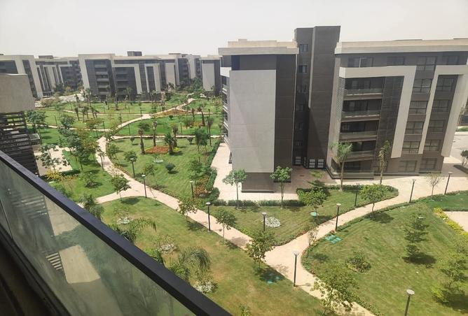 7990397 - الصورة الرئيسية للعقار