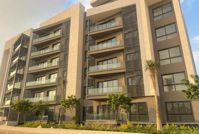 8435375 - Property Image 3