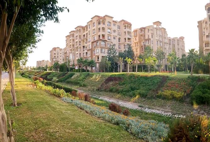 7941419 - صورة العقار 3