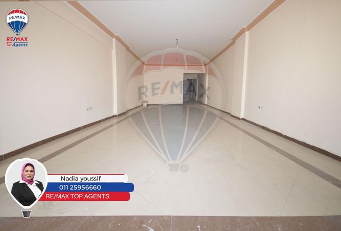 8239481 - Property Image 3