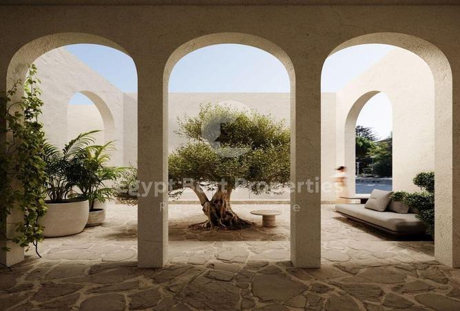 8140333 - Property Image 3