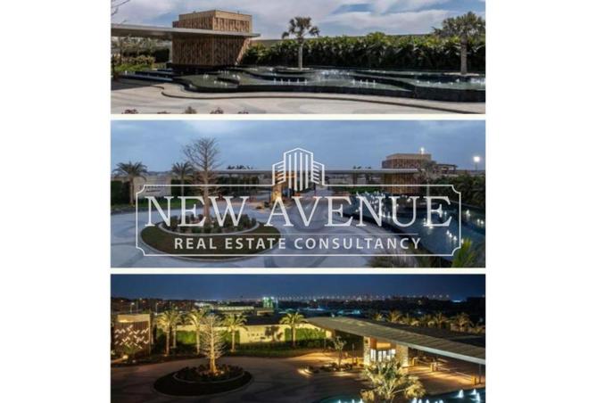 8286231 - Property Image 2