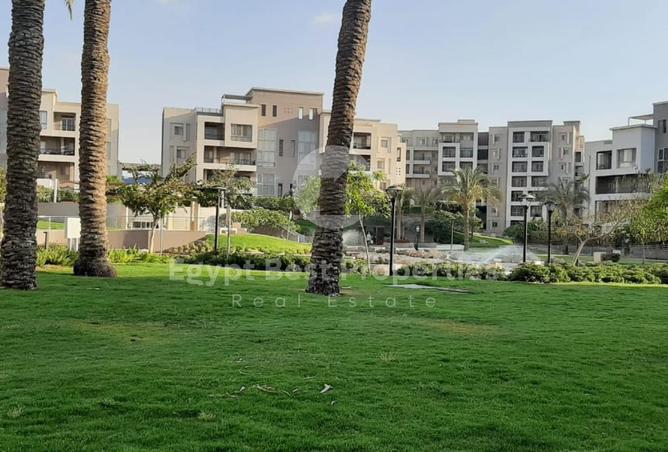 8152229 - صورة العقار 2