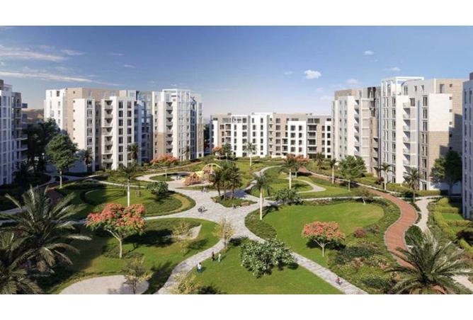 8301264 - Property Image 3