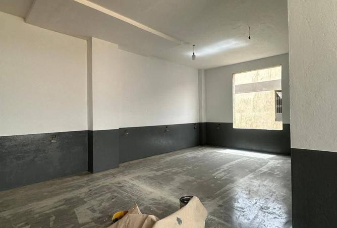 8398432 - Property Image 2