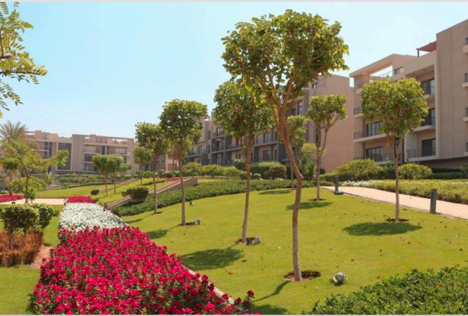 8306120 - صورة العقار 2