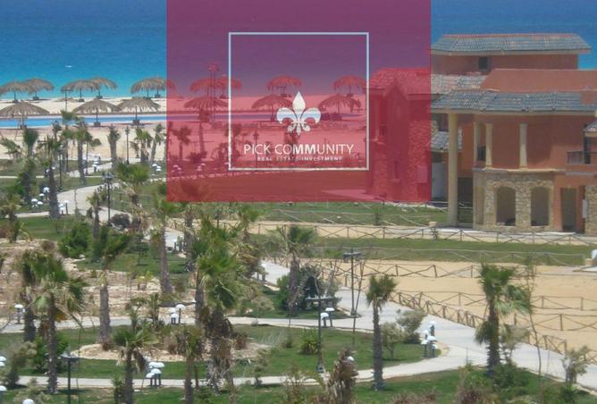 8267817 - صورة العقار 2