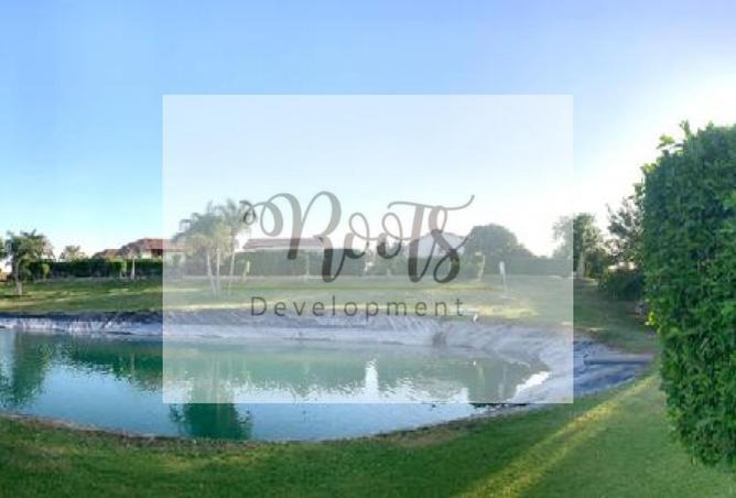 7909651 - صورة العقار 2