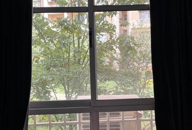 8131731 - Property Image 3