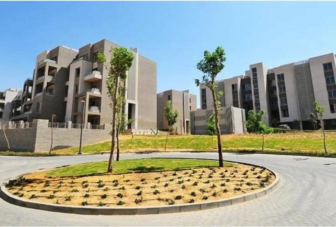 7999008 - Property Image 3