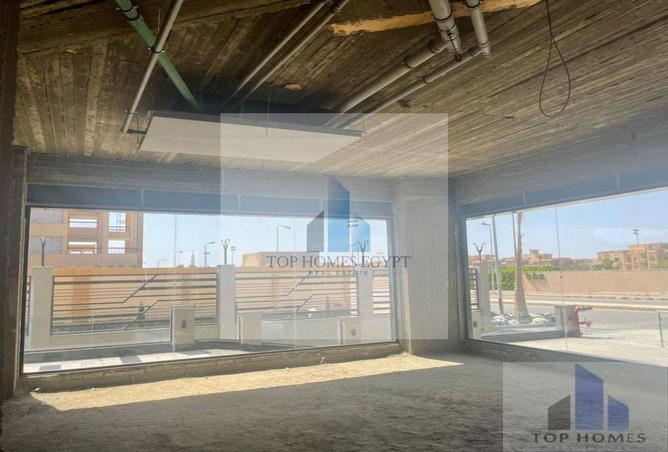 8093181 - Property Image 2
