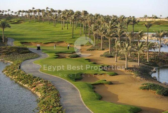 7991807 - صورة العقار 3