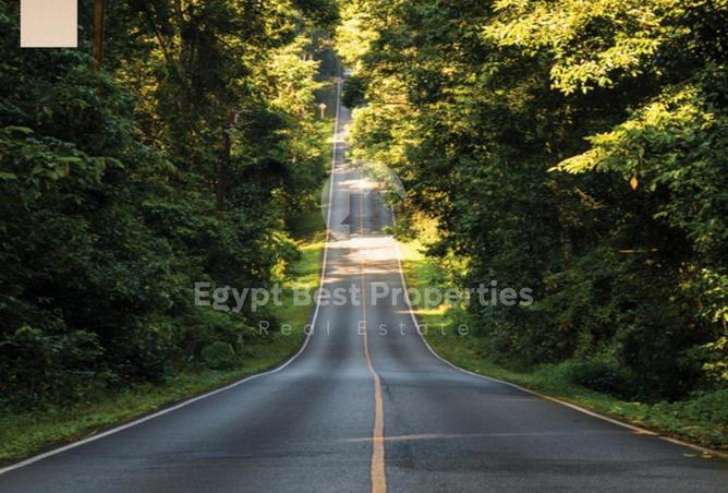 7984600 - صورة العقار 2