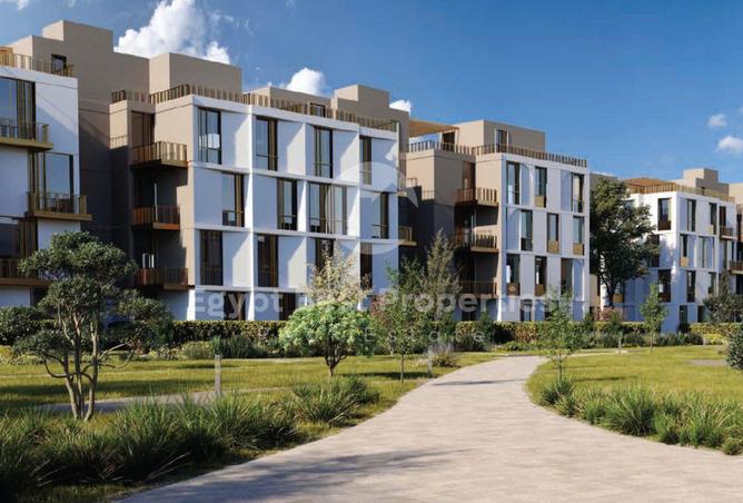 8167064 - Property Image 3