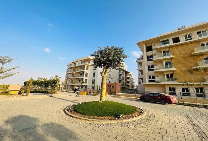 7991033 - Property Image 3