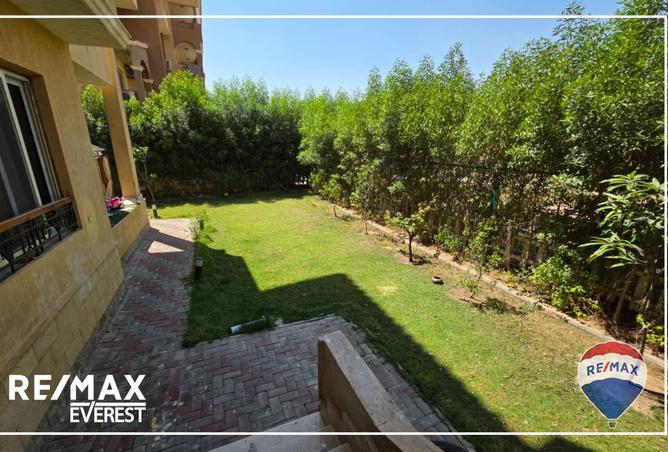 8010431 - Property Image 3