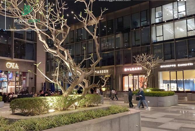 8275981 - Property Image 3