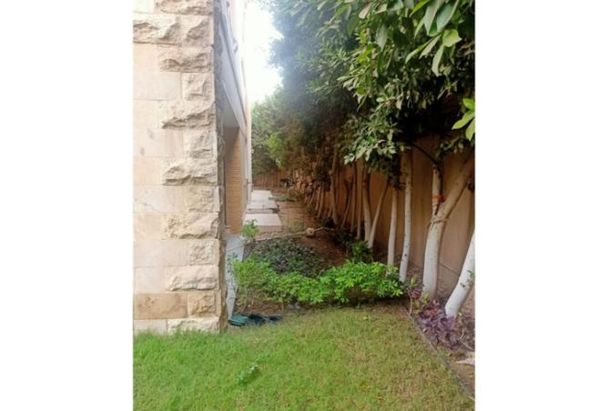 8334096 - Property Image 3