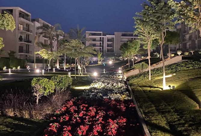 8198407 - Property Image 3