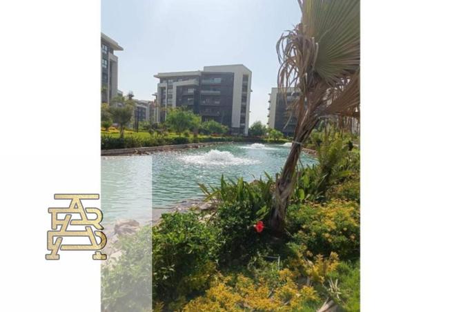 8260705 - صورة العقار 2