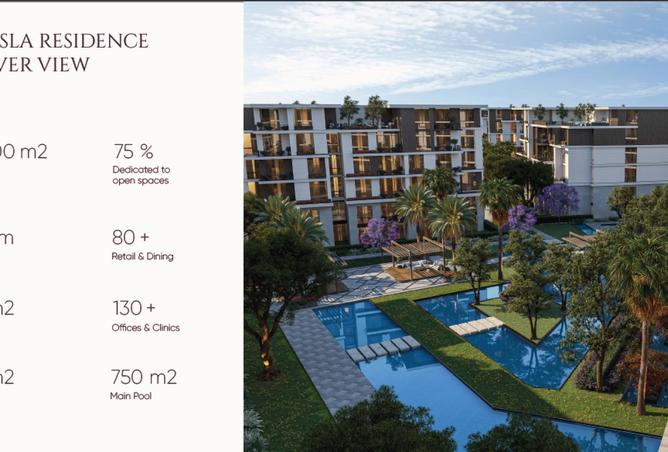 8427336 - Property Image 3